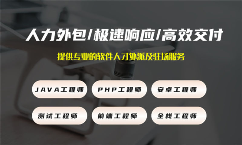 成都专业提供高质量Python程序员IT人力外包服务 解决您的项目难题