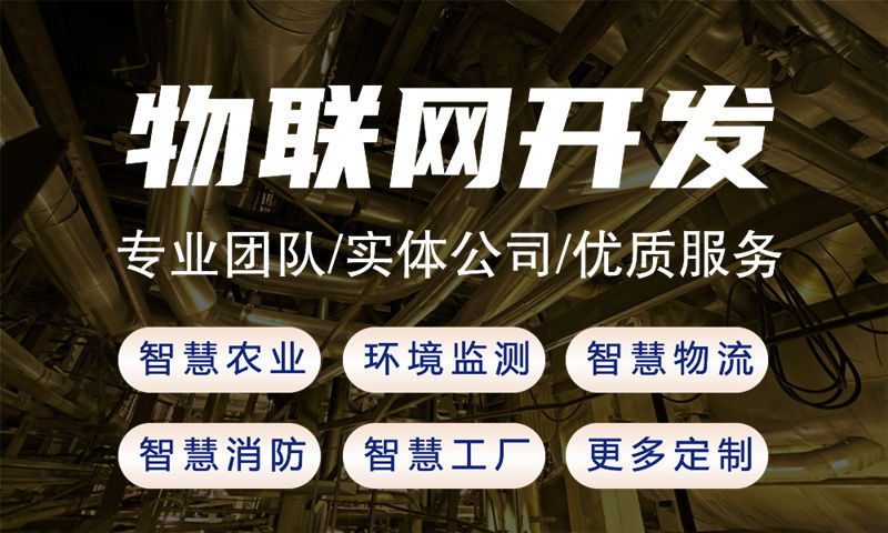 武汉智慧城市物联网解决方案与单片机开发技术详解