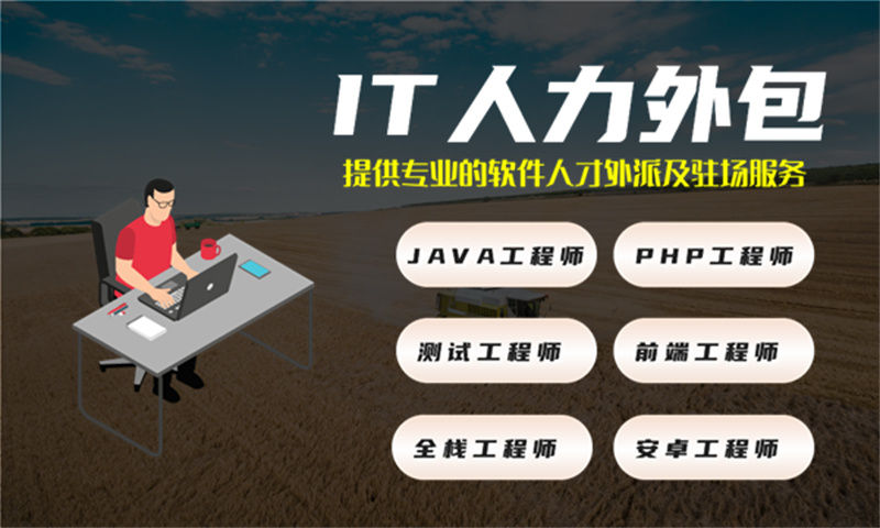 如何利用Python程序员IT人力外包服务解决房地产系统项目难题