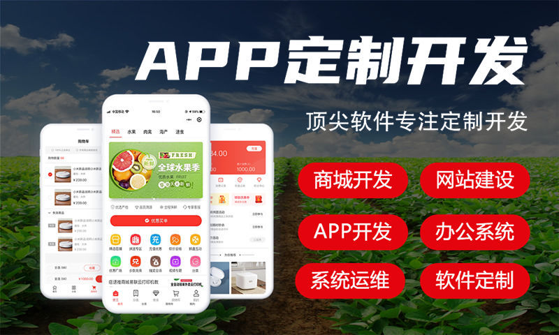 解决能源系统开发难题 .NET程序员IT人力外包服务助您一臂之力