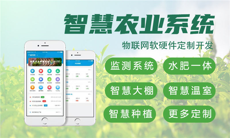 成都智慧城市物联网解决方案与单片机软硬件开发计划书