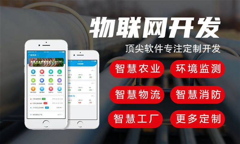 天津智慧城市物联网解决方案与单片机应用功能计划书