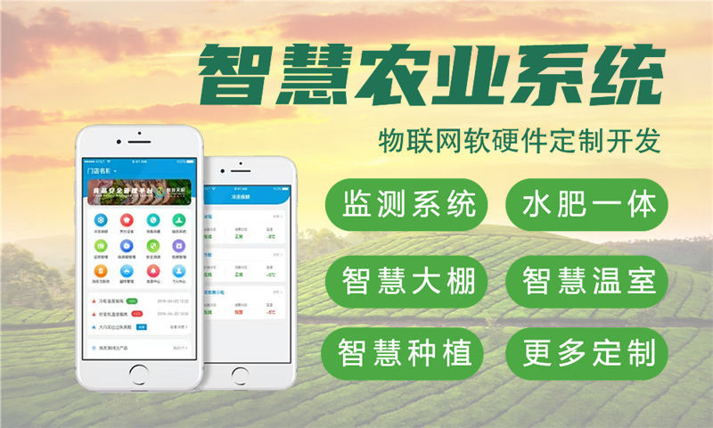 郑州智慧城市物联网解决方案与单片机开发技术详解