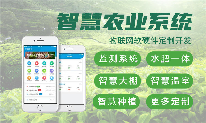 济南智慧农业物联网系统的创新应用案例展示