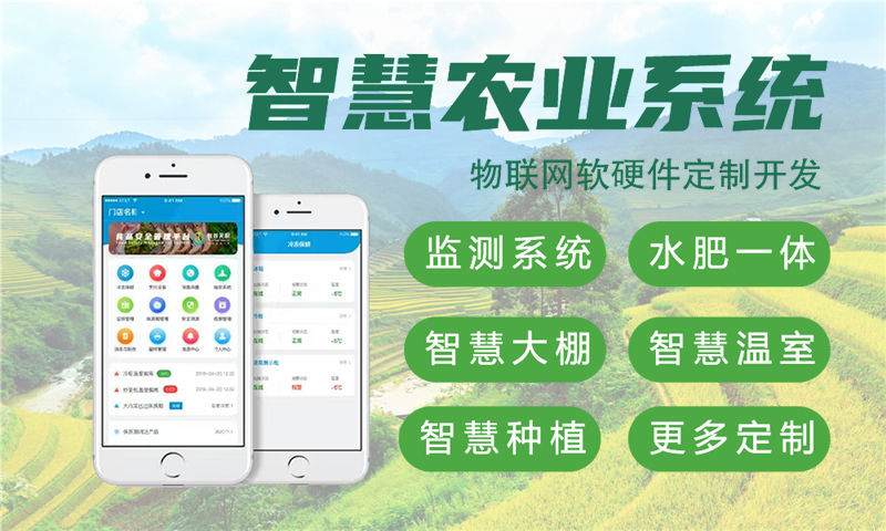 佛山智慧城市物联网解决方案及单片机软硬件开发计划书