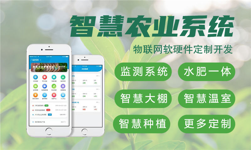 成都智慧城市物联网解决方案与单片机开发功能计划书