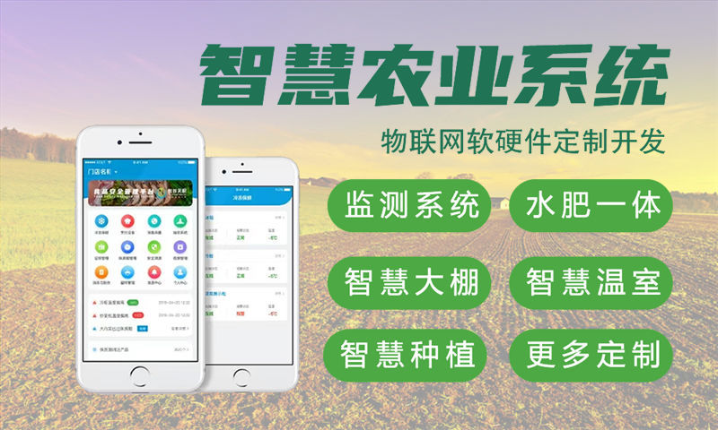 深圳智能家居物联网系统与单片机开发技术指南