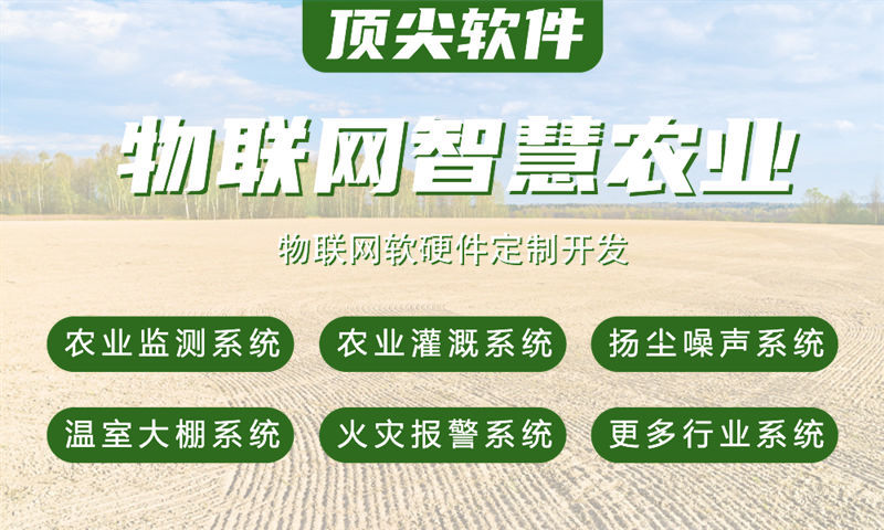 成都智慧城市物联网解决方案及单片机应用功能计划书