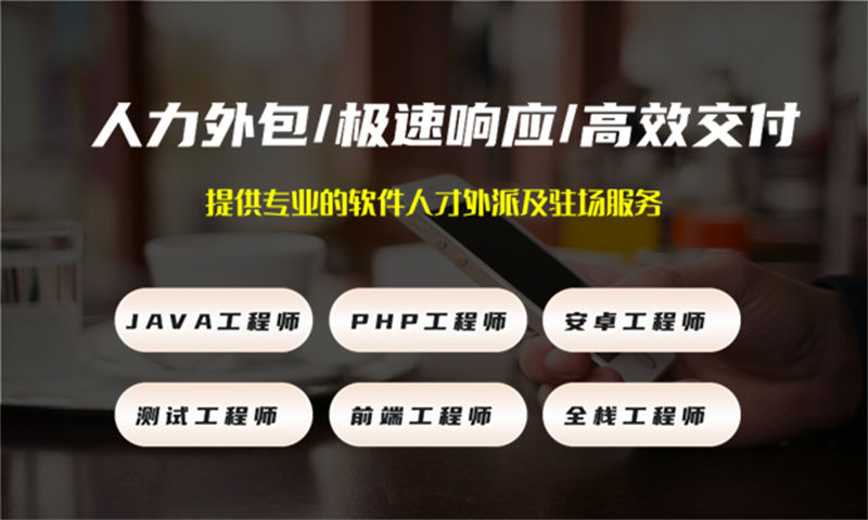 解决合肥酒店系统项目困境的利器——专业IT人力外包服务