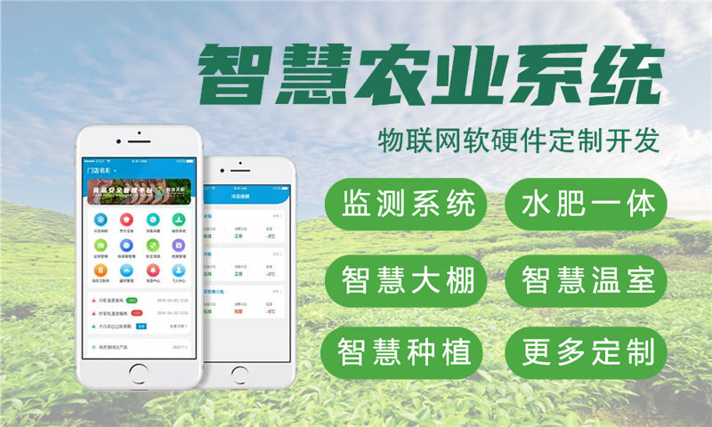 烟台物联网智能家居系统及水质、油烟等检测系统的全面解析