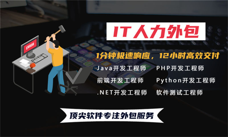 .NET程序员IT人力外包：破解企业用人难题的高效解决方案