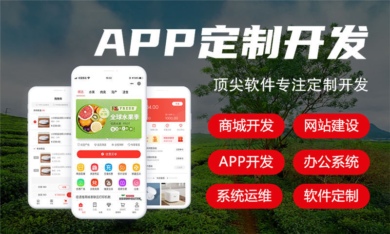 深圳双轨二二复制大公排商城系统专业解决方案